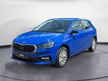 Gebrauchte Skoda Fabia