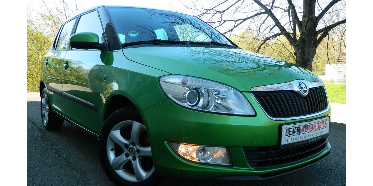 Skoda Fabia 166.000 km 5.490 &euro; Mössingen 72116