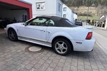 Ford Mustang 110.000 km 7.000 &euro; Nagold 72202