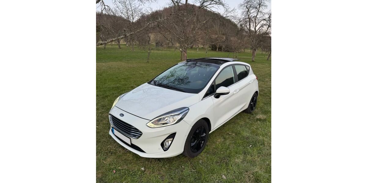 Ford Fiesta 108.900 km 10.400 &euro; Lichtenstein 72805